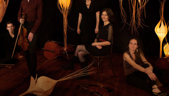 CARRE quintet bumbac