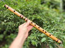 Bansuri Ashar - Spécial Bambou - C Medium | Flûte native Ashar