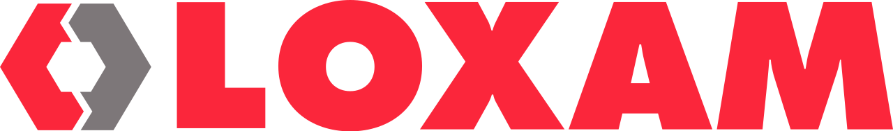 Logo_Loxam_Rouge_FT
